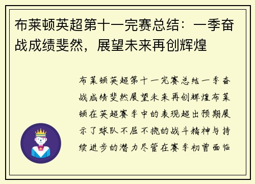 布莱顿英超第十一完赛总结：一季奋战成绩斐然，展望未来再创辉煌